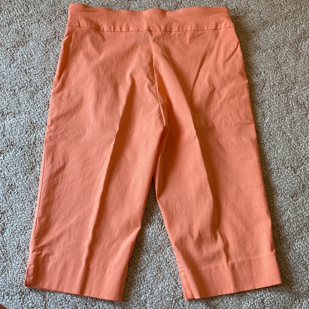 Ruby Rd. Pants - Picture 4 of 5
